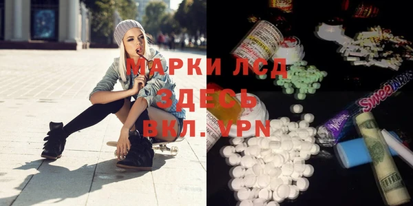 стаф Арсеньев