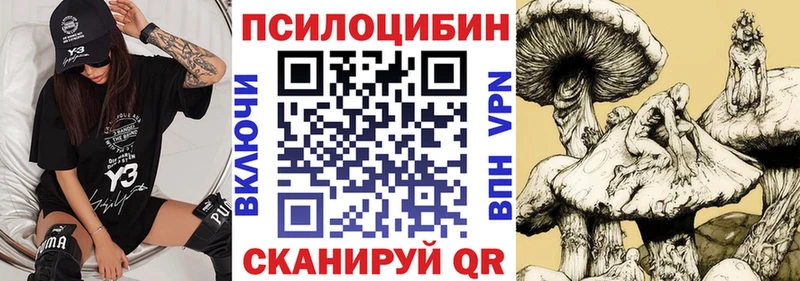 Псилоцибиновые грибы Psilocybe  Бодайбо 